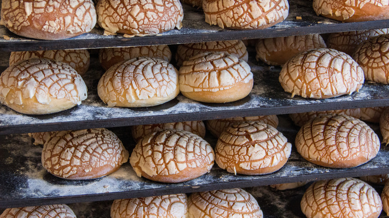 Bakery shelves full of conchas 