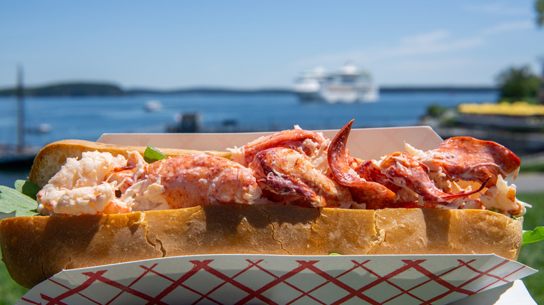Maine lobster roll and shoreline