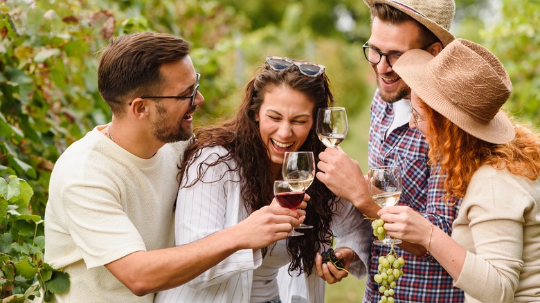 Friends enjoying wine