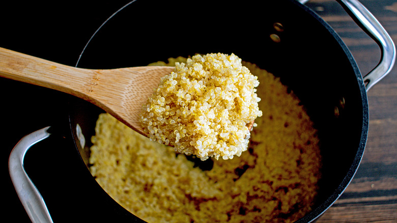 Spoonful of cooked quinoa from pot