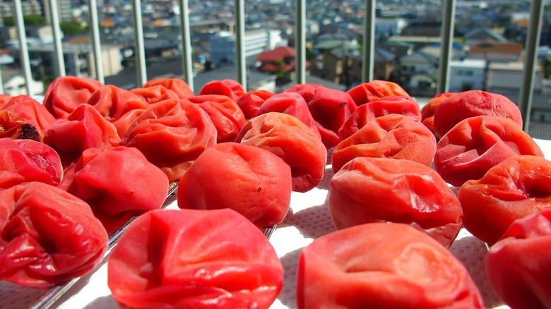 Deep red umeboshi sun-drying