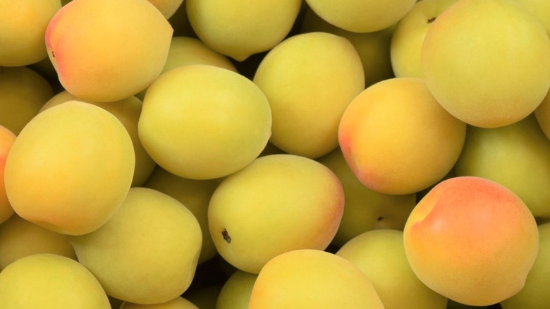 Pile of raw yellow ume