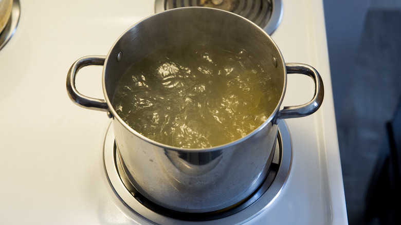 boiling water in stovetop pot