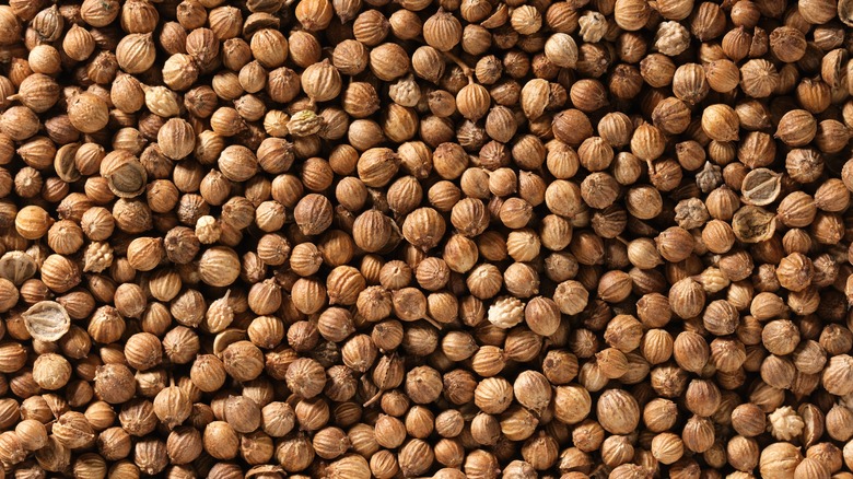 coriander seed