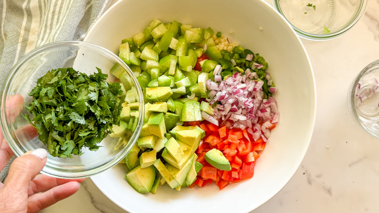 hand holding cilantro to add