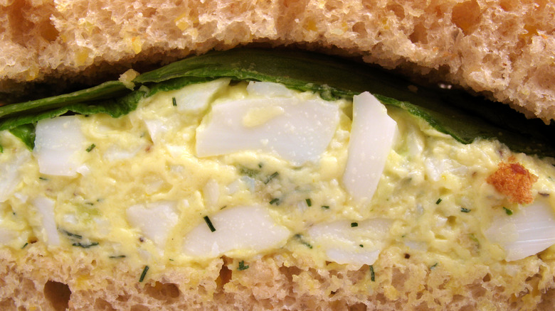 egg salad sandwich on bread