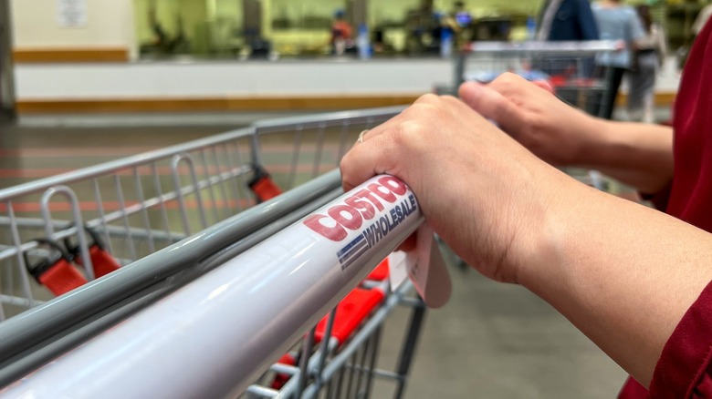 Shopper's hands pushing a cart in a Japan Costco