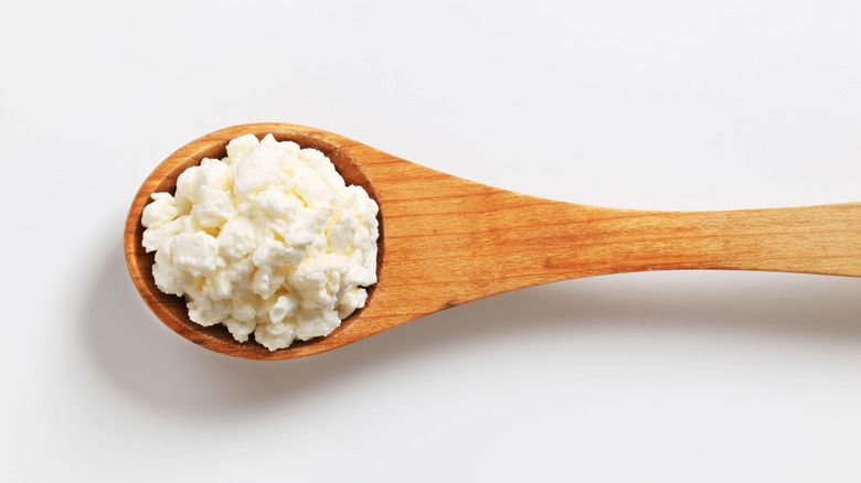 spoon with cottage cheese