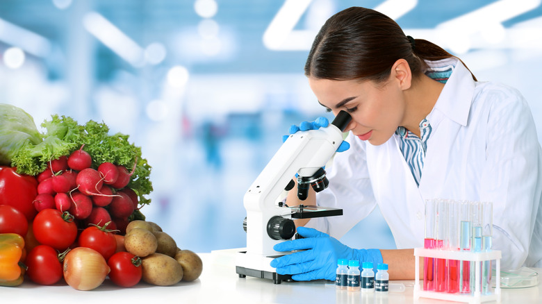 scientist inspecting food