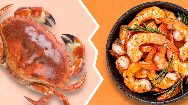 A crab and bowl of cooked shrimp side by side