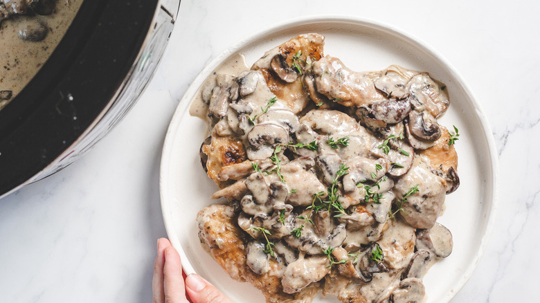 Hand holding plate of chicken marsala