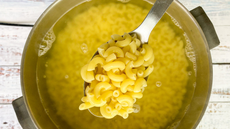 spoonful of cooked elbow macaroni
