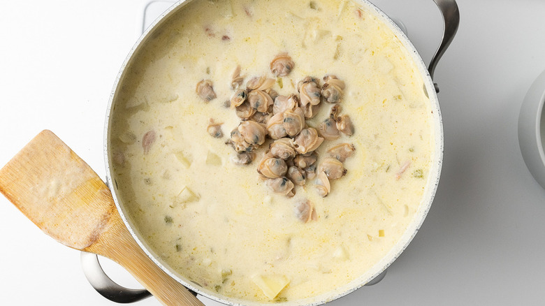 chowder with small cooked clams