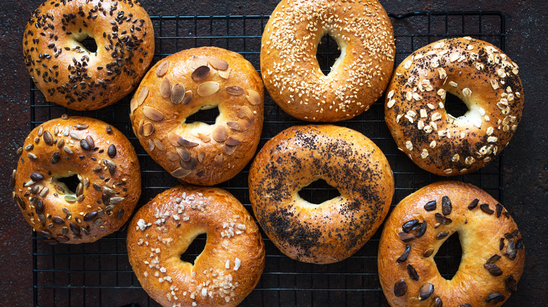 different types of bagels