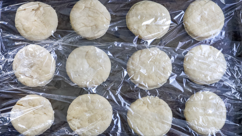 dough rounds covered in plastic