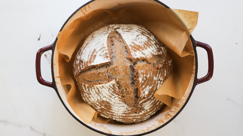 Parbaked crusty walnut bread in Dutch oven