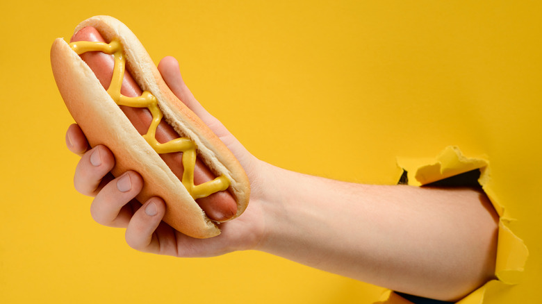 hand holding hot dog