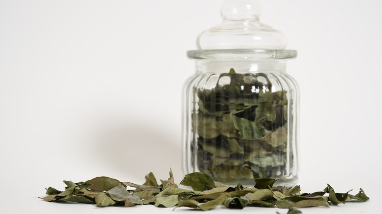 Jar of dried curry leaves