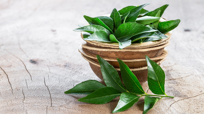 Curry leaves in coconut bowls