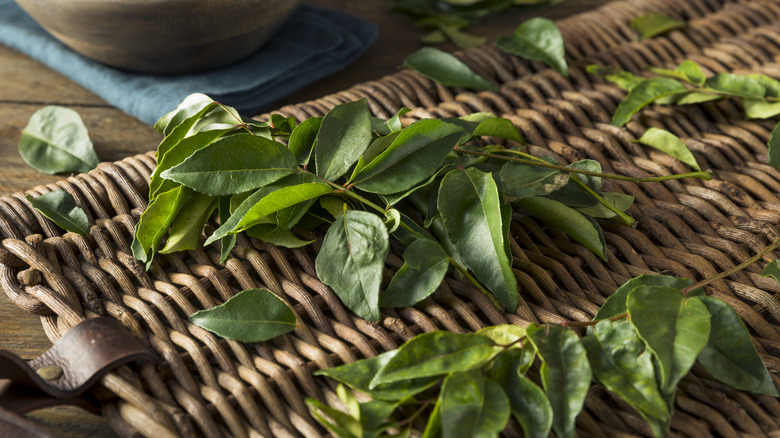 Curry leaves on wooden mat