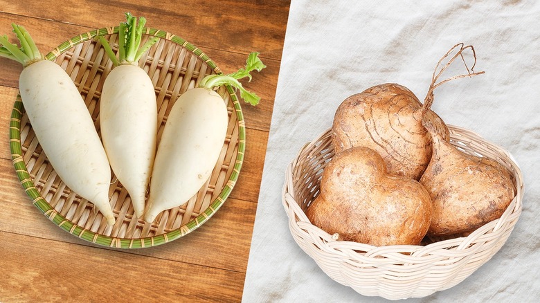 Daikon and jicama on brown and white backgrounds