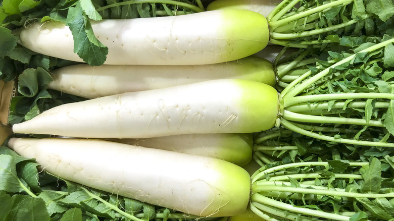 white and green daikons with leaves