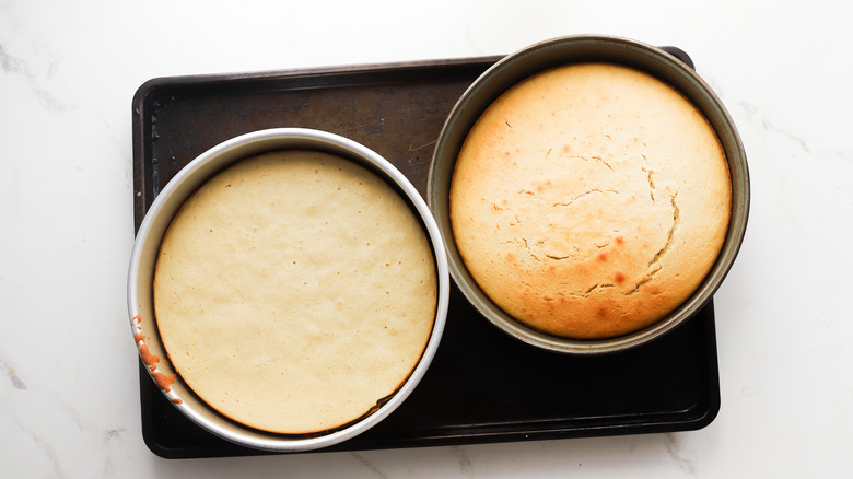 Baked cakes in pans