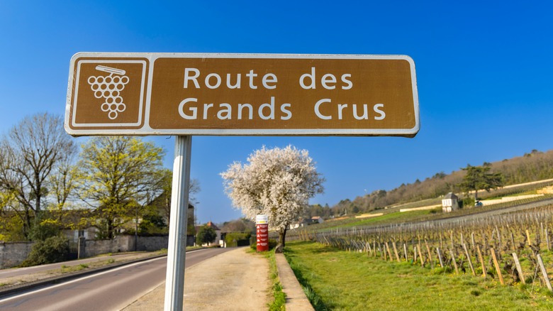 Grand Cru vineyards in Burgundy