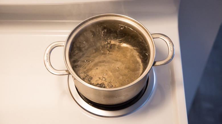 water boiling in medium pot