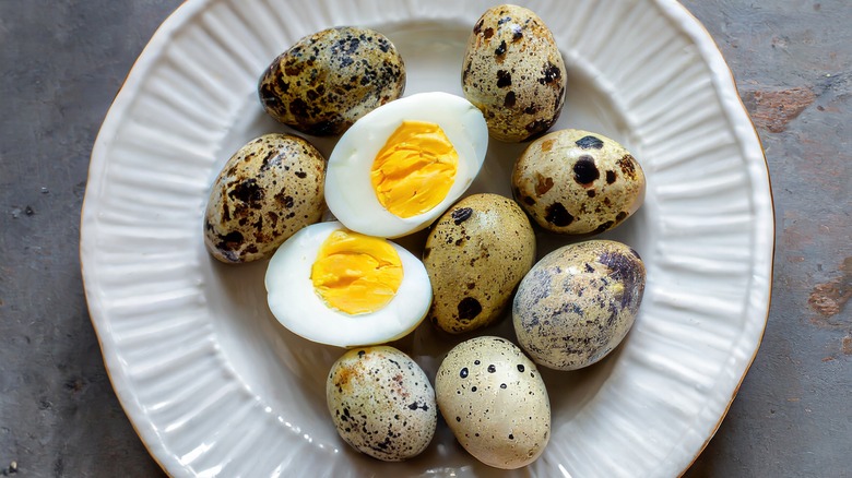 bowl boiled quail eggs