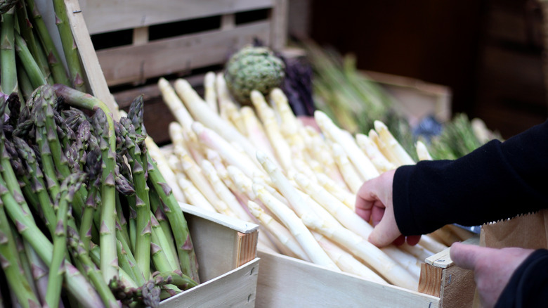 buying white asparagus