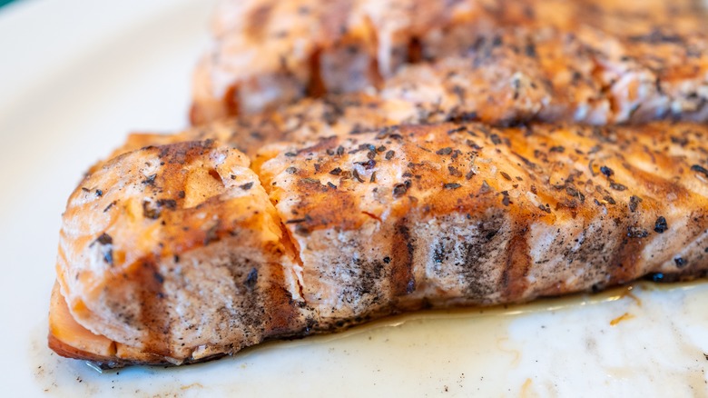 Grilled salmon fillets on plate with spices