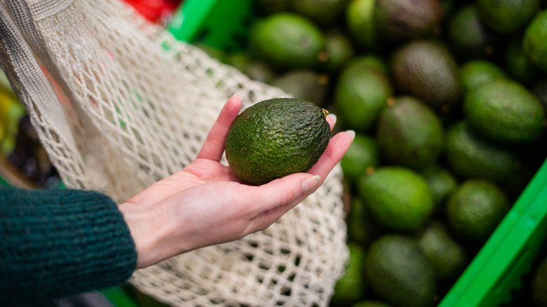 Woman picking out avocados 