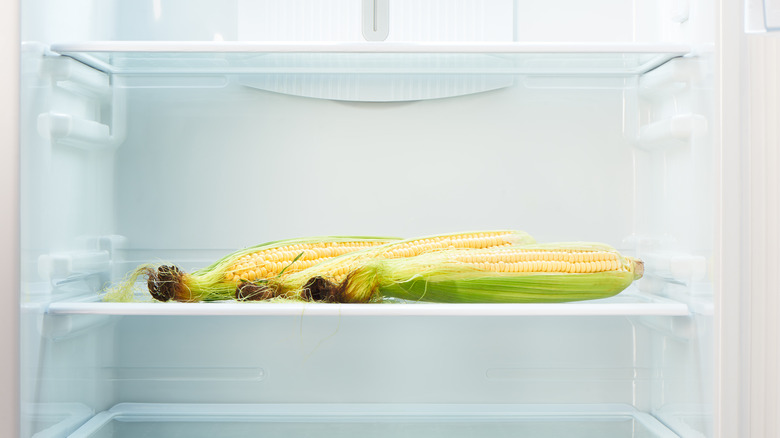 ears of corn in refrigerator