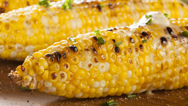 Grilled corn on the cob