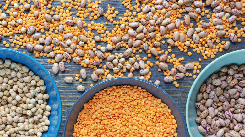 Sorting beans into bowls 