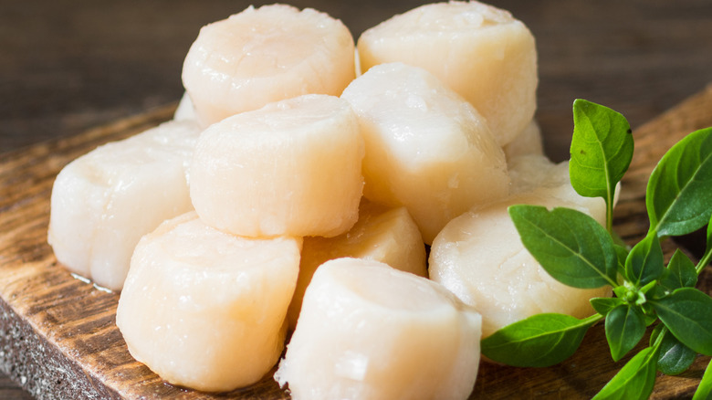 Raw scallops on wooden board