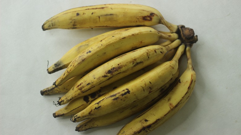 Plantains