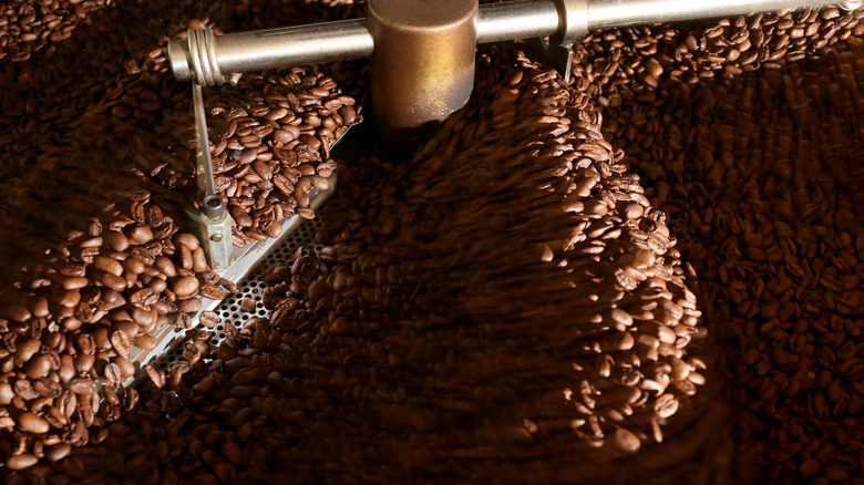 Roasting coffee beans in Florida 