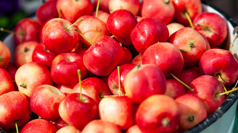 Basket of apples