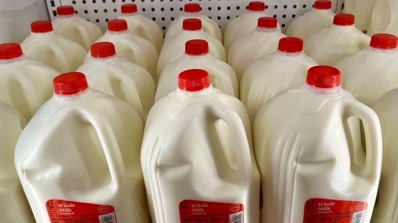 gallons of milk in grocery store fridge