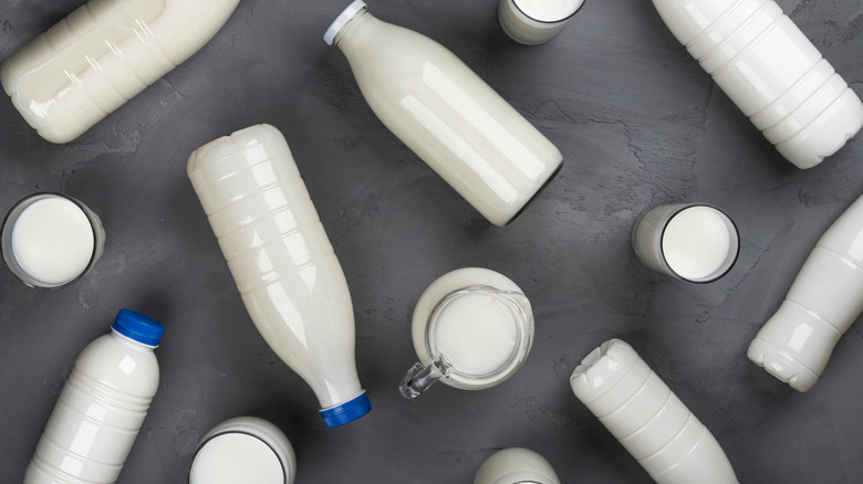 Milk in different containers on a gray background