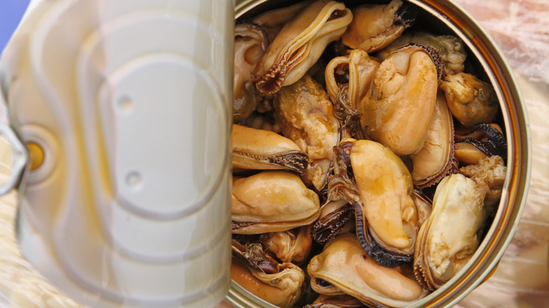 Open tin of canned oysters