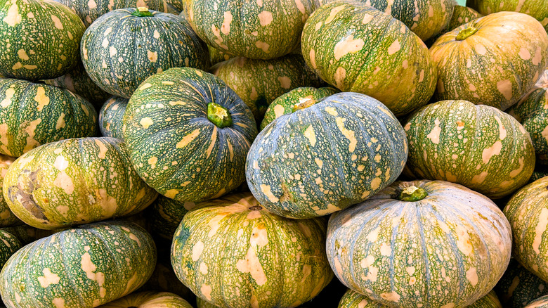 pile of kabocha pumpkins