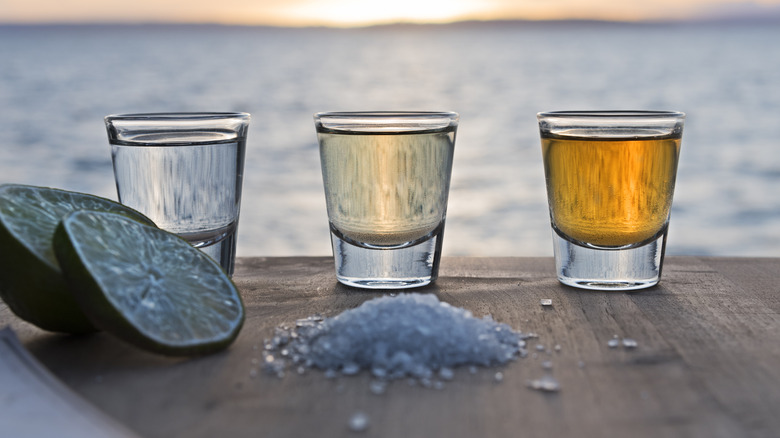 Tequila varieties in shot glasses