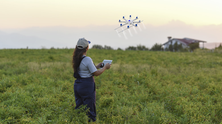 farmer spraying crops with drone