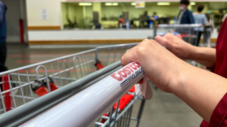 Hands pushing a Costco shopping cart