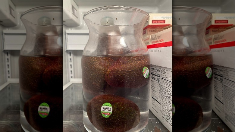 avocado storage hack