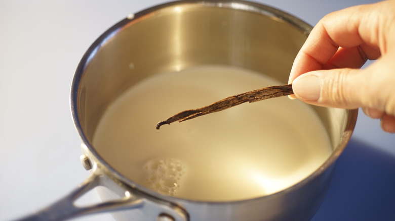 A person adding vanilla bean to a pot with milk