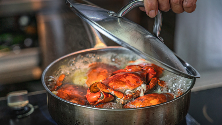 Lobster boiling in pot